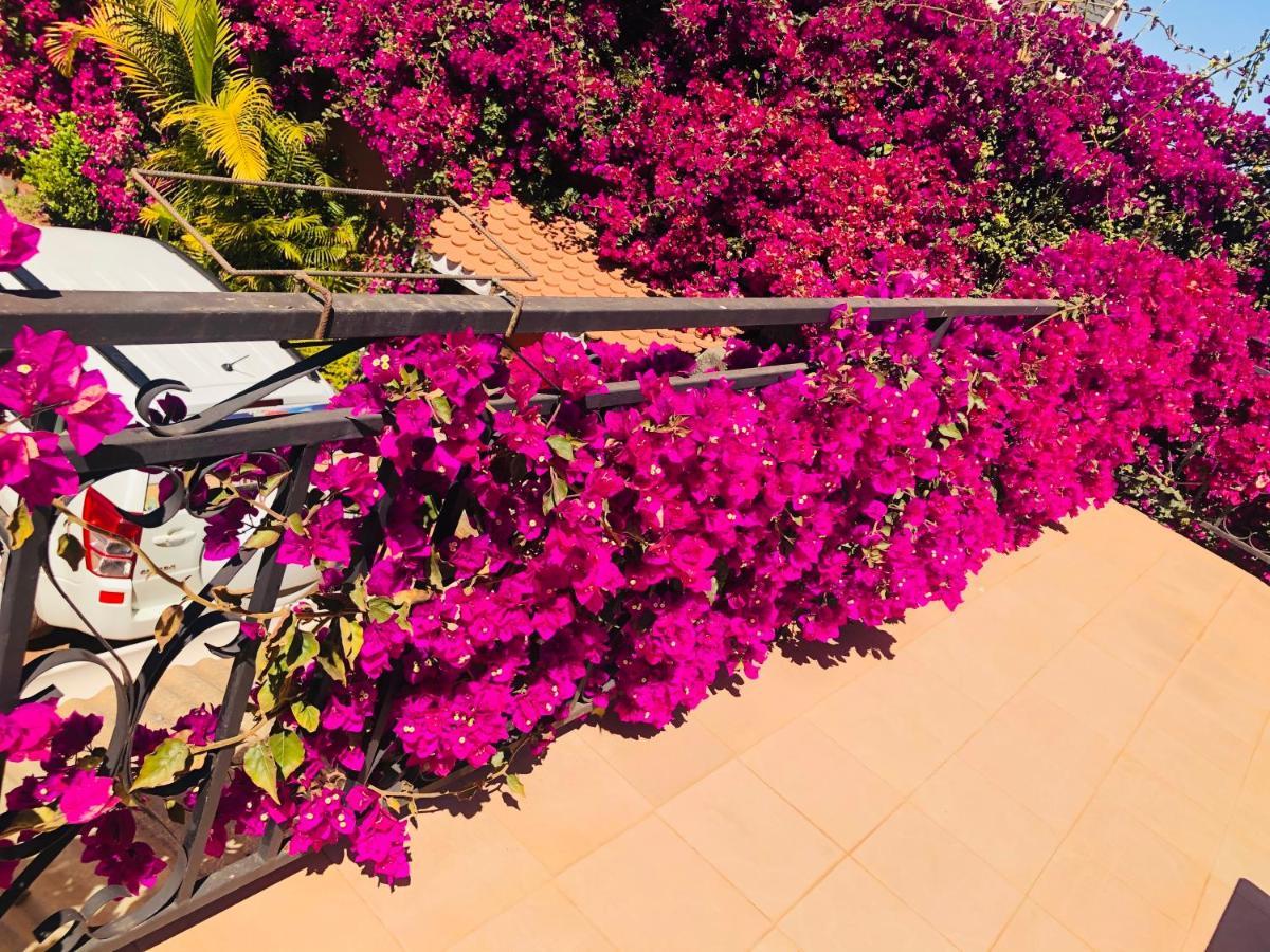 Petite Flower Guest House Talata-maty Exterior foto